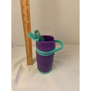 Igloo stainless steel travel tumbler 14oz purple green